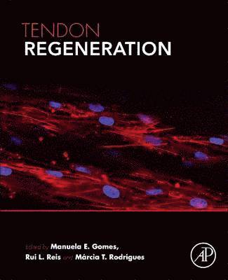 bokomslag Tendon Regeneration