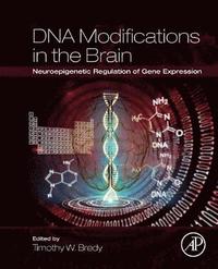 bokomslag DNA Modifications in the Brain