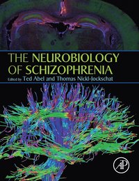 bokomslag The Neurobiology of Schizophrenia