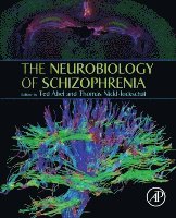 bokomslag The Neurobiology of Schizophrenia