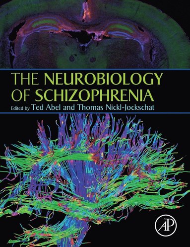 bokomslag Neurobiology of Schizophrenia