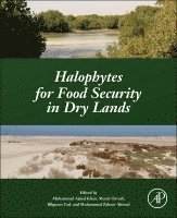 Muhammad Ajmal Khan, Munir Ozturk, Bilquees Gul, Muhammad Zaheer Ahmed - Halophytes for Food Security in Dry Lands, Häftad