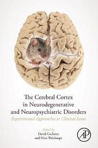 bokomslag The Cerebral Cortex in Neurodegenerative and Neuropsychiatric Disorders