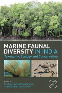 bokomslag Marine Faunal Diversity in India