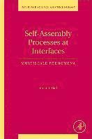 bokomslag Self-Assembly Processes at Interfaces