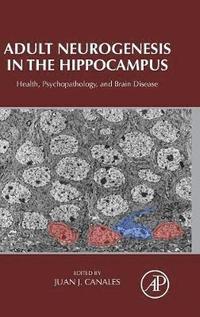 bokomslag Adult Neurogenesis in the Hippocampus