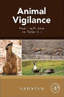 Animal Vigilance 1