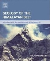 bokomslag Geology of the Himalayan Belt