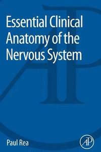 bokomslag Essential Clinical Anatomy of the Nervous System