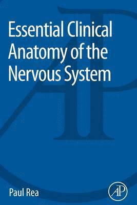 bokomslag Essential Clinical Anatomy of the Nervous System