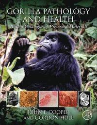 bokomslag Gorilla Pathology and Health