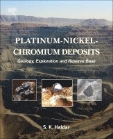 bokomslag Platinum-Nickel-Chromium Deposits