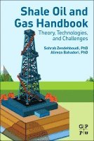 Sohrab Zendehboudi, Alireza Bahadori - Shale Oil and Gas Handbook, Häftad