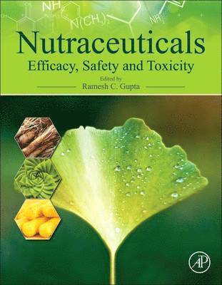 Ramesh C. Gupta - Nutraceuticals, Inbunden