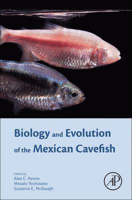 bokomslag Biology and Evolution of the Mexican Cavefish