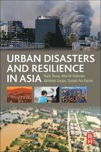 bokomslag Urban Disasters and Resilience in Asia