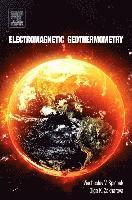 bokomslag Electromagnetic Geothermometry