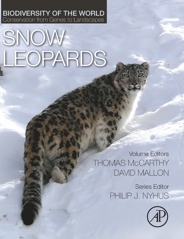 Snow Leopards 1