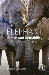bokomslag Elephant Sense and Sensibility