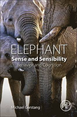 Elephant Sense and Sensibility 1