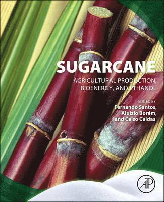 bokomslag Sugarcane