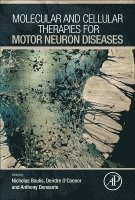 Nicholas M Boulis, Deirdre O'Connor, Anthony Donsante - Molecular and Cellular Therapies for Motor Neuron Diseases, Inbunden