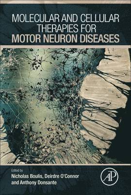 Molecular and Cellular Therapies for Motor Neuron Diseases 1