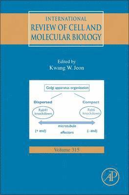 bokomslag International Review of Cell and Molecular Biology