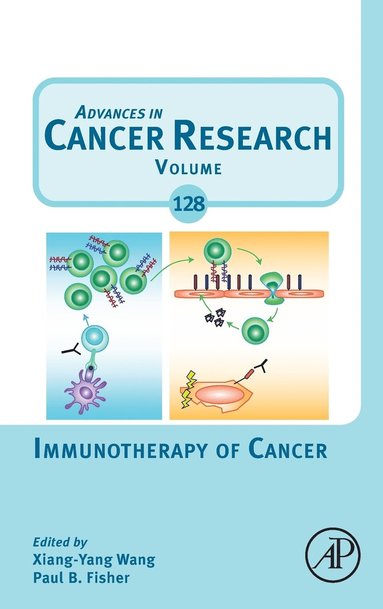 bokomslag Immunotherapy of Cancer