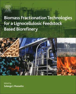 Biomass Fractionation Technologies for a Lignocellulosic Feedstock Based Biorefinery 1