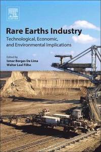 bokomslag Rare Earths Industry