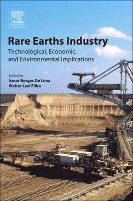 Rare Earths Industry 1