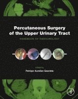 bokomslag Percutaneous Surgery of the Upper Urinary Tract