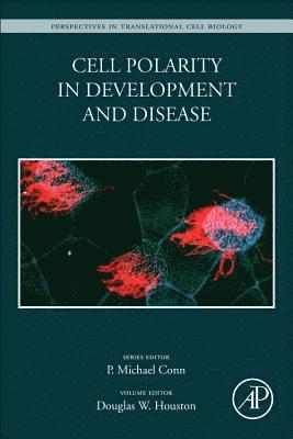 Douglas W Houston, Douglas W. Houston - Cell Polarity in Development and Disease, Häftad