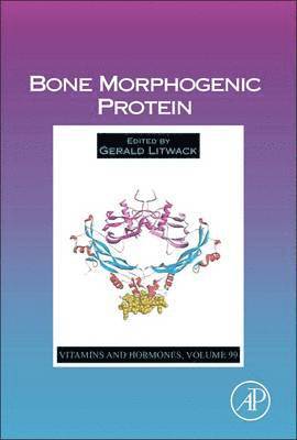 bokomslag Bone Morphogenic Protein