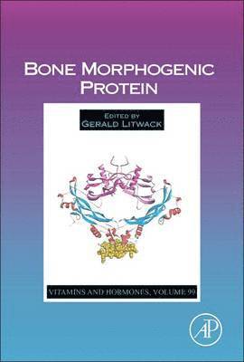 Bone Morphogenic Protein 1