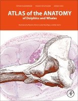 Stefan Huggenberger, Helmut A Oelschl�ger, Bruno Cozzi - Atlas of the Anatomy of Dolphins and Whales, Inbunden