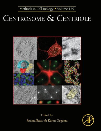 bokomslag Centrosome and Centriole