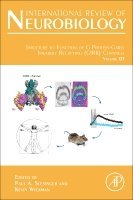 Paul A. Slesinger, Kevin Wickman - Structure to Function of G Protein-Gated Inwardly Rectifying (GIRK) Channels, Inbunden