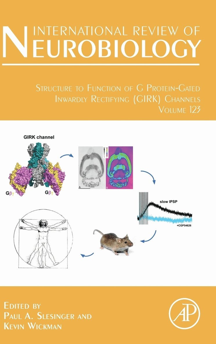 Paul A. Slesinger, Kevin Wickman - Structure to Function of G Protein-Gated Inwardly Rectifying (GIRK) Channels, Inbunden