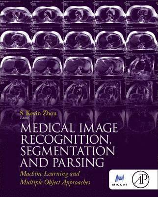 Medical Image Recognition, Segmentation and Parsing 1