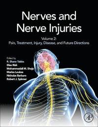 bokomslag Nerves and Nerve Injuries