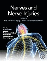 Nerves and Nerve Injuries 1