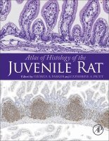 George A Parker, Catherine A. Picut - Atlas of Histology of the Juvenile Rat, Inbunden