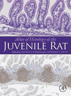 bokomslag Atlas of Histology of the Juvenile Rat