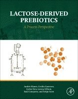 bokomslag Lactose-Derived Prebiotics