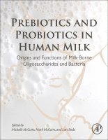 bokomslag Prebiotics and Probiotics in Human Milk