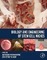 bokomslag Biology and Engineering of Stem Cell Niches