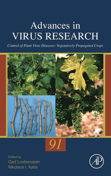 bokomslag Control of Plant Virus Diseases