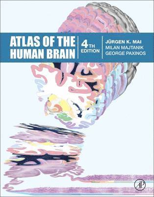 bokomslag Atlas of the Human Brain